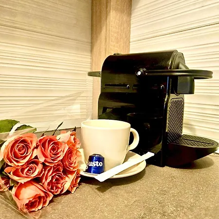 아파트 Solid Casino *