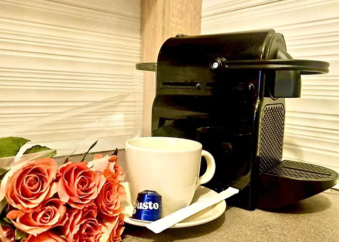 아파트 Solid Casino *