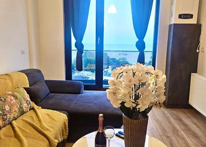 Solid Casino 마마이아